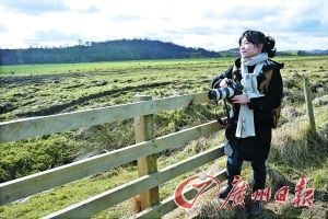 ����ӛ�߱����K���m�ߵ�������ľ�|(zh��)��ڵ�ԭ����