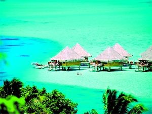 ���R��������������{ɫ������