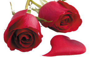 ����̼Ҹ�(j��ng)��������(j��ng)��(j��)��