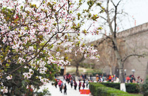 �h(hu��n)�ǹ��@��ęѻ���(j��ng)���_�����������������^����