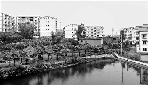 ���������(zh��n)�m�@���r(n��ng)���¾ӡ�ӛ��