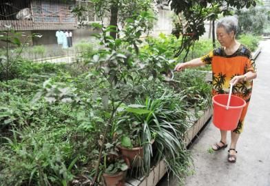 6��27����ͬ�Ƙ�M��8̖Ժ���S�����ڽoԺ��ֲ�ˮ��