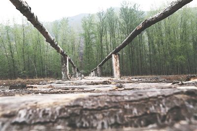 ��Ӵ��ǲ�ɫ����(d��ng)��ʢ��